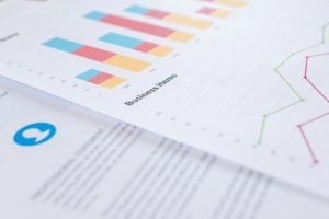 Business Credit Report