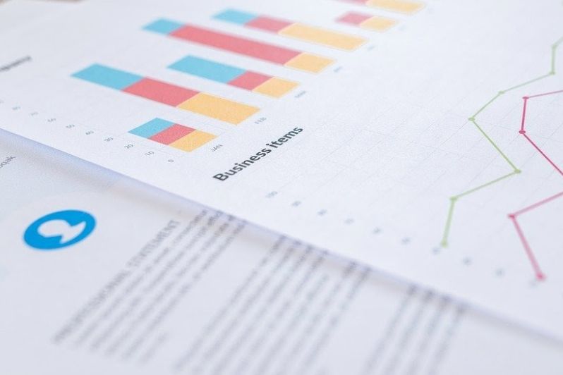 Business Credit Report